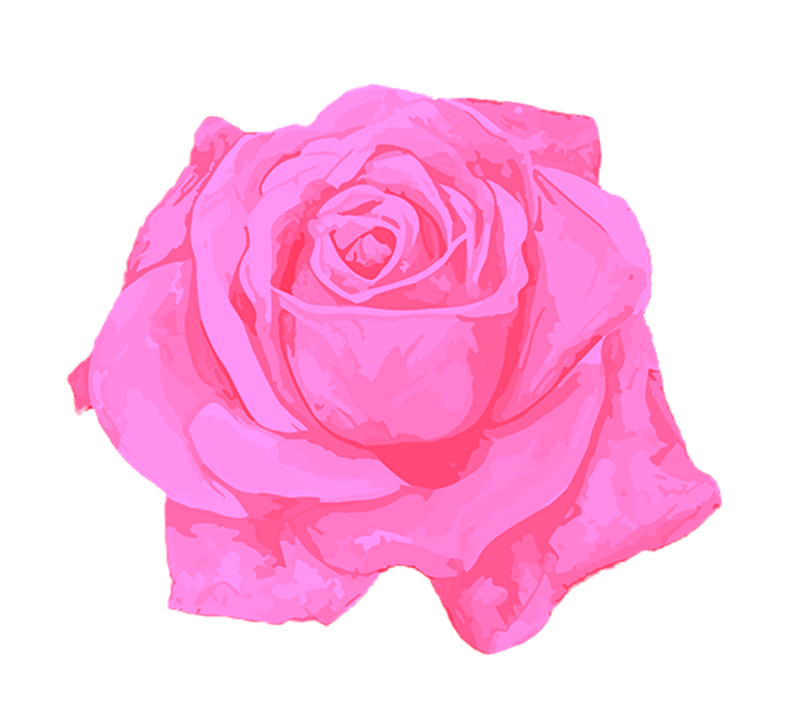 Rose_1_edited_edited.png
