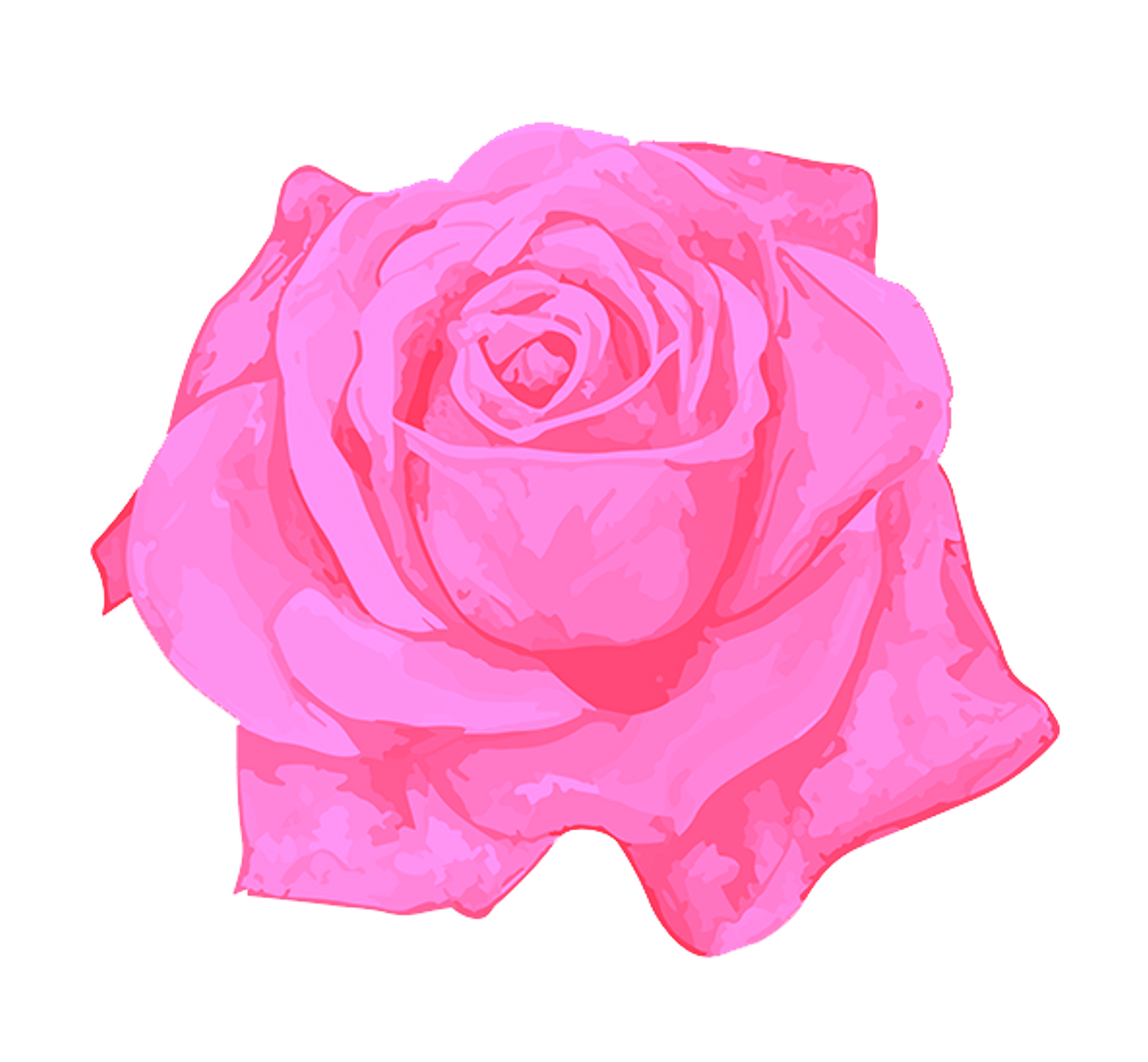 Rose_1_edited.png